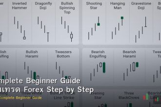 Complete Beginner Guide เริ่มเทรด Forex Step by Step