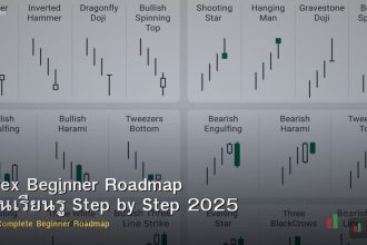 Forex Beginner Roadmap แผนเรียนรู้ Step by Step 2025