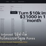 Compound Interest วิธีทำให้ Account เติบโตแบบทวีคูณ Forex
