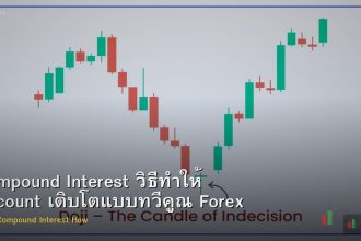 Compound Interest วิธีทำให้ Account เติบโตแบบทวีคูณ Forex