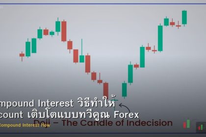Compound Interest วิธีทำให้ Account เติบโตแบบทวีคูณ Forex