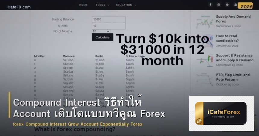 Compound Interest วิธีทำให้ Account เติบโตแบบทวีคูณ Forex