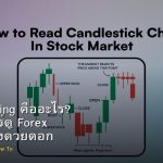 Compounding คืออะไร? วิธีเพิ่มพอร์ต Forex อย่างมั่นคงด้วยดอกเบี้ยทบต้น