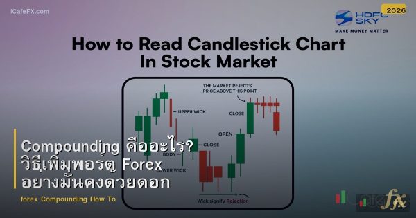 Compounding คืออะไร? วิธีเพิ่มพอร์ต Forex อย่างมั่นคงด้วยดอกเบี้ยทบต้น