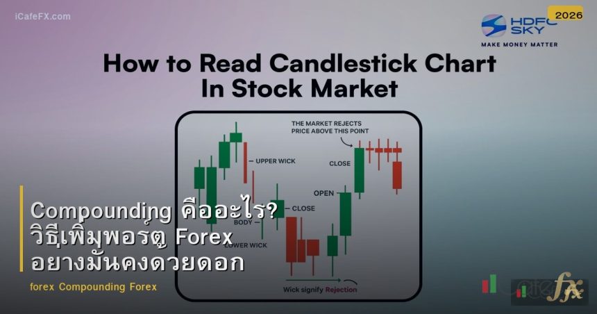 Compounding คืออะไร? วิธีเพิ่มพอร์ต Forex อย่างมั่นคงด้วยดอกเบี้ยทบต้น