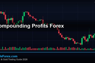 Compounding Profits วิธีทบต้นกำไรเพิ่มพอร์ต Forex