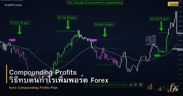 Compounding Profits วิธีทบต้นกำไรเพิ่มพอร์ต Forex