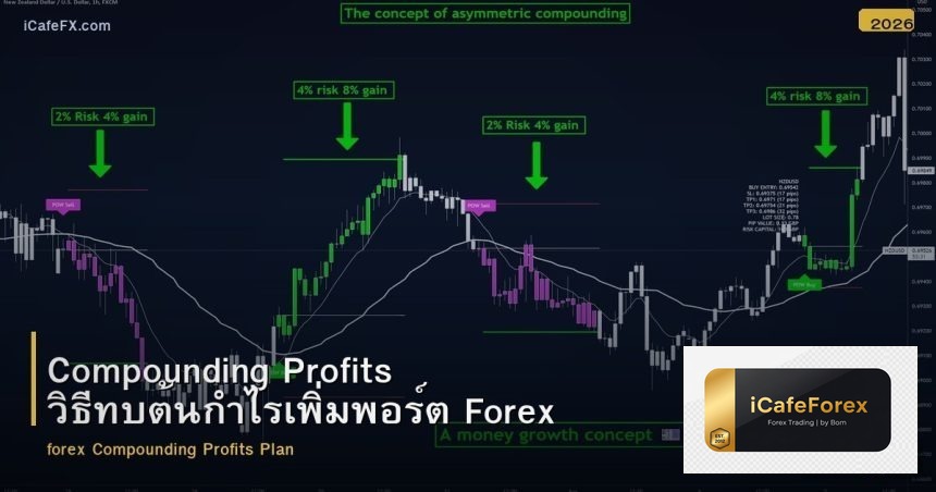 Compounding Profits วิธีทบต้นกำไรเพิ่มพอร์ต Forex