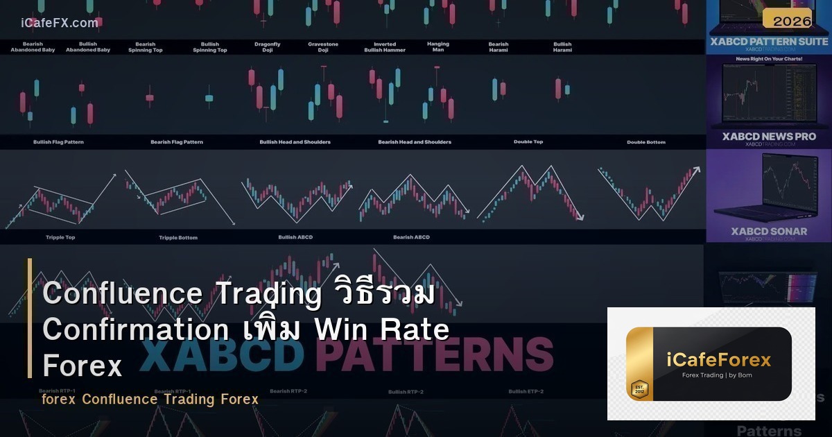 Confluence Trading วิธีรวม Confirmation เพิ่ม Win Rate Forex