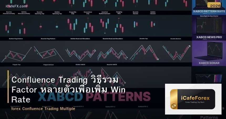 Confluence Trading วิธีรวม Factor หลายตัวเพื่อเพิ่ม Win Rate Forex