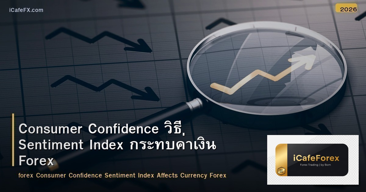 Consumer Confidence วิธี Sentiment Index กระทบค่าเงิน Forex