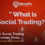 Copy Trade Social Trading วิธีเลือก Provider Forex