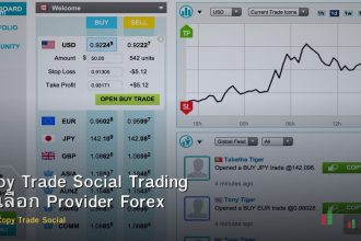 Copy Trade Social Trading วิธีเลือก Provider Forex