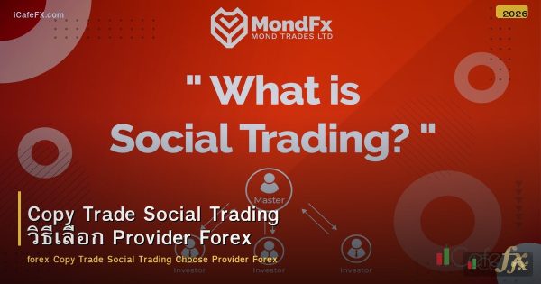 Copy Trade Social Trading วิธีเลือก Provider Forex