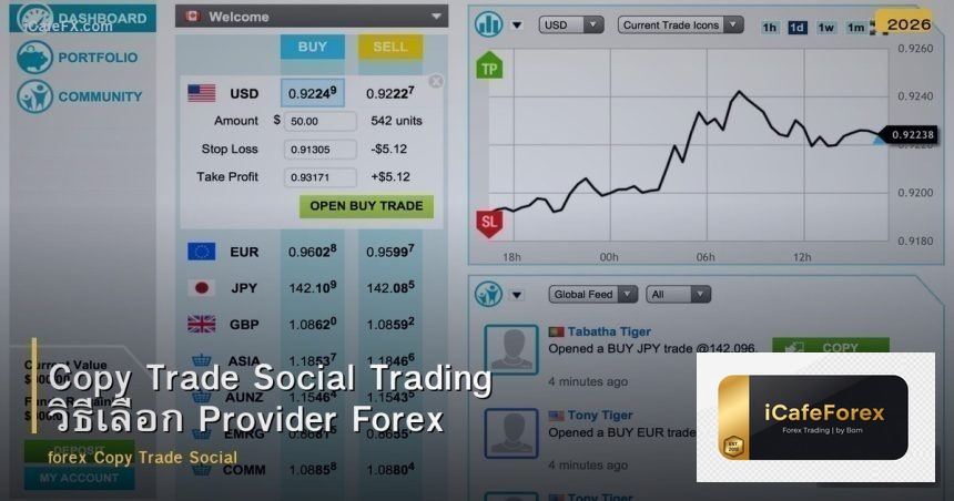 Copy Trade Social Trading วิธีเลือก Provider Forex