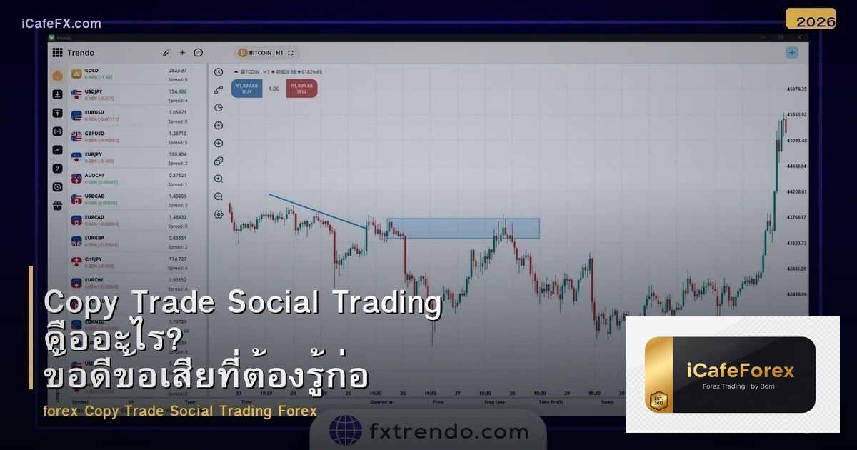 Copy Trade Social Trading คืออะไร? ข้อดีข้อเสียที่ต้องรู้ก่อนใช้