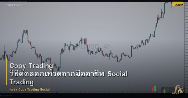 Copy Trading วิธีคัดลอกเทรดจากมืออาชีพ Social Trading