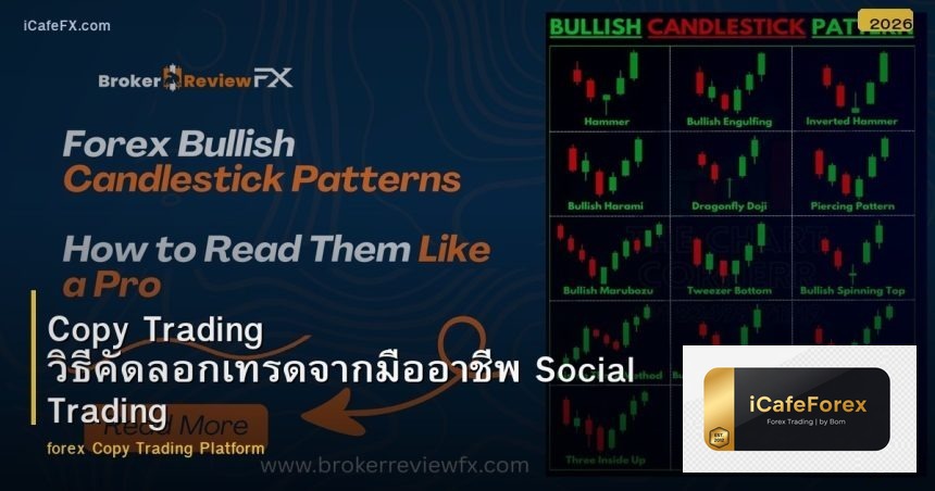 Copy Trading วิธีคัดลอกเทรดจากมืออาชีพ Social Trading
