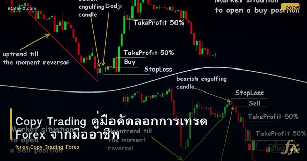 Copy Trading คู่มือคัดลอกการเทรด Forex จากมืออาชีพ