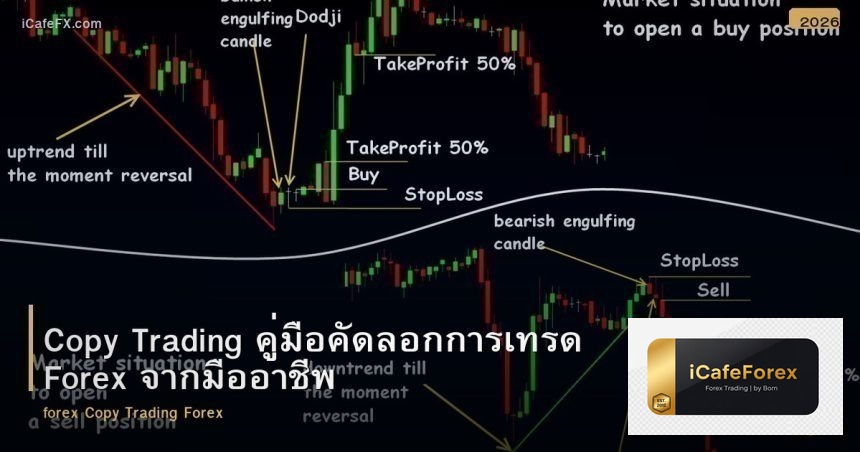 Copy Trading คู่มือคัดลอกการเทรด Forex จากมืออาชีพ