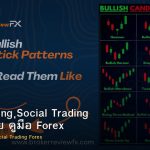 Copy Trading Social Trading ข้อดีข้อเสีย คู่มือ Forex