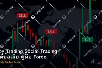 Copy Trading Social Trading ข้อดีข้อเสีย คู่มือ Forex