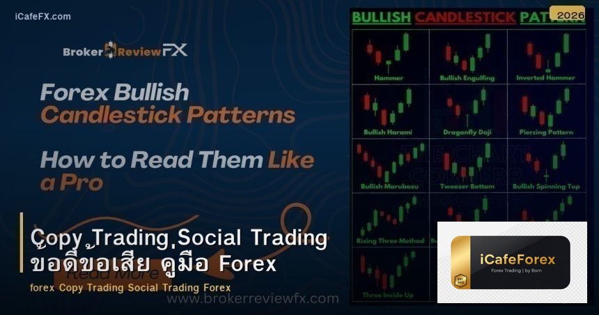 Copy Trading Social Trading ข้อดีข้อเสีย คู่มือ Forex