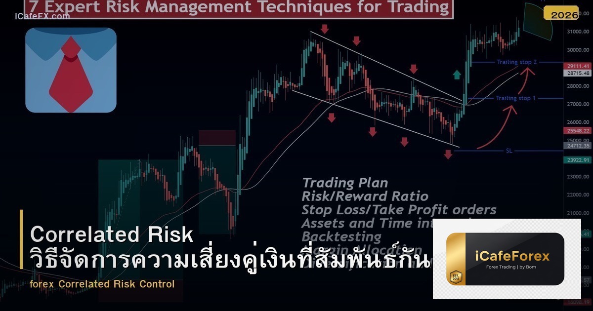 Correlated Risk วิธีจัดการความเสี่ยงคู่เงินที่สัมพันธ์กัน