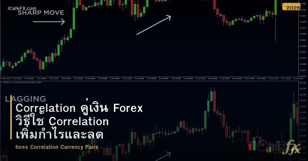 Correlation คู่เงิน Forex วิธีใช้ Correlation เพิ่มกำไรและลดความเสี่ยง