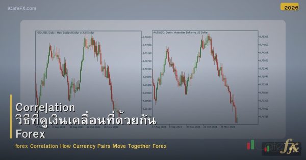 Correlation วิธีที่คู่เงินเคลื่อนที่ด้วยกัน Forex