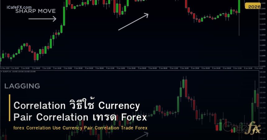 Correlation วิธีใช้ Currency Pair Correlation เทรด Forex