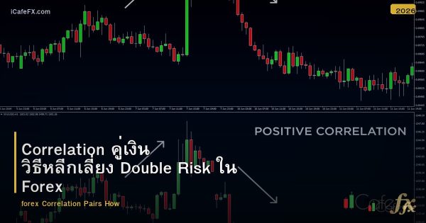 Correlation คู่เงิน วิธีหลีกเลี่ยง Double Risk ใน Forex