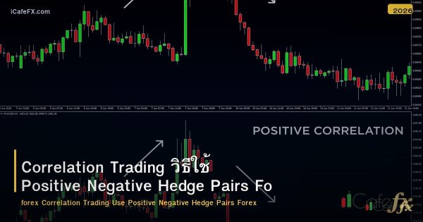 Correlation Trading วิธีใช้ Positive Negative Hedge Pairs Forex