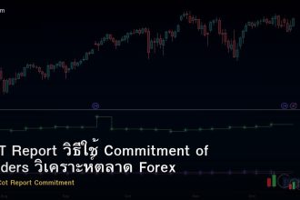 COT Report วิธีใช้ Commitment of Traders วิเคราะห์ตลาด Forex