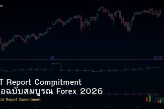 COT Report Commitment คู่มือฉบับสมบูรณ์ Forex 2026