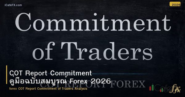 COT Report Commitment คู่มือฉบับสมบูรณ์ Forex 2026