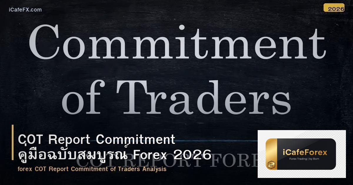 COT Report Commitment คู่มือฉบับสมบูรณ์ Forex 2026