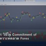 COT Report วิธีใช้ Commitment of Traders วิเคราะห์ตลาด Forex