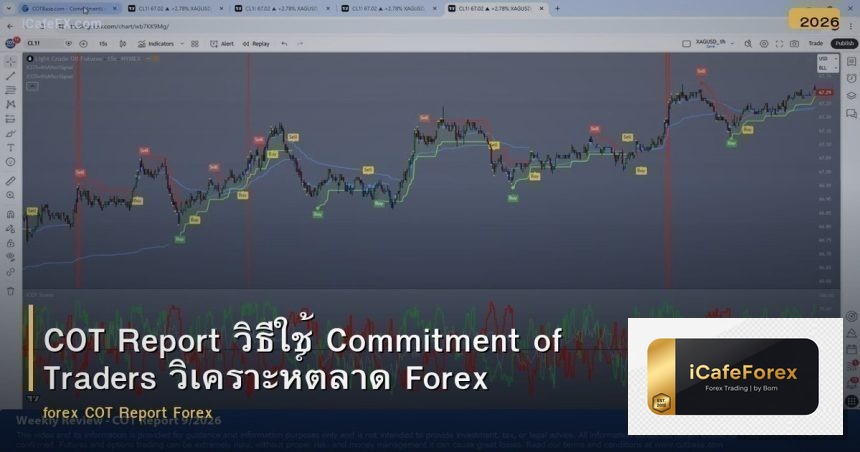COT Report วิธีใช้ Commitment of Traders วิเคราะห์ตลาด Forex