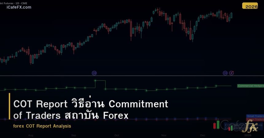 COT Report วิธีอ่าน Commitment of Traders สถาบัน Forex