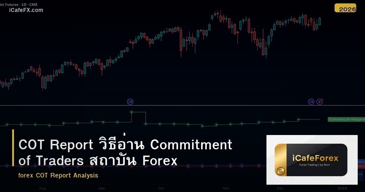 COT Report วิธีอ่าน Commitment of Traders สถาบัน Forex