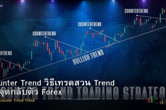 Counter Trend วิธีเทรดสวน Trend จับจุดกลับตัว Forex