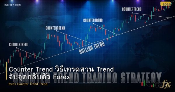 Counter Trend วิธีเทรดสวน Trend จับจุดกลับตัว Forex