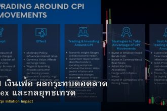 CPI เงินเฟ้อ ผลกระทบต่อตลาด Forex และกลยุทธ์เทรด