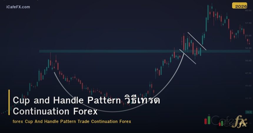 Cup and Handle Pattern วิธีเทรด Continuation Forex