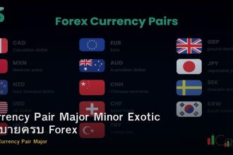 Currency Pair Major Minor Exotic อธิบายครบ Forex