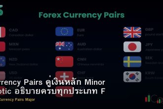 Currency Pairs คู่เงินหลัก Minor Exotic อธิบายครบทุกประเภท Forex
