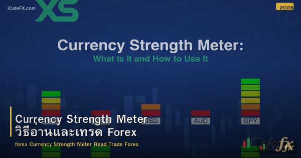 Currency Strength Meter วิธีอ่านและเทรด Forex