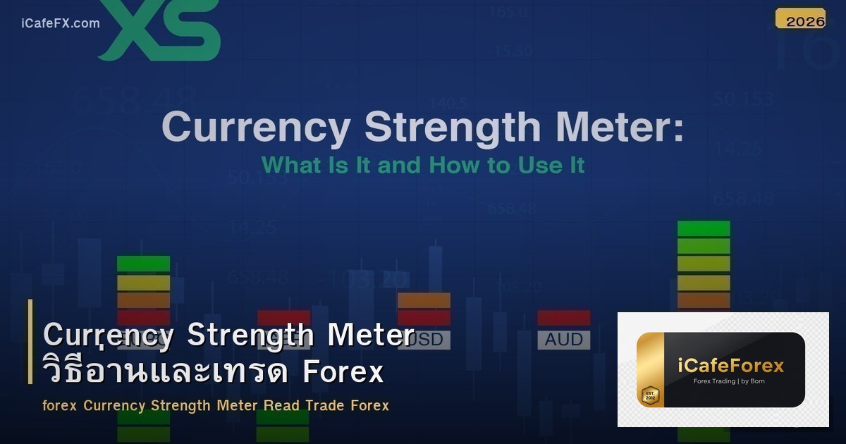 Currency Strength Meter วิธีอ่านและเทรด Forex