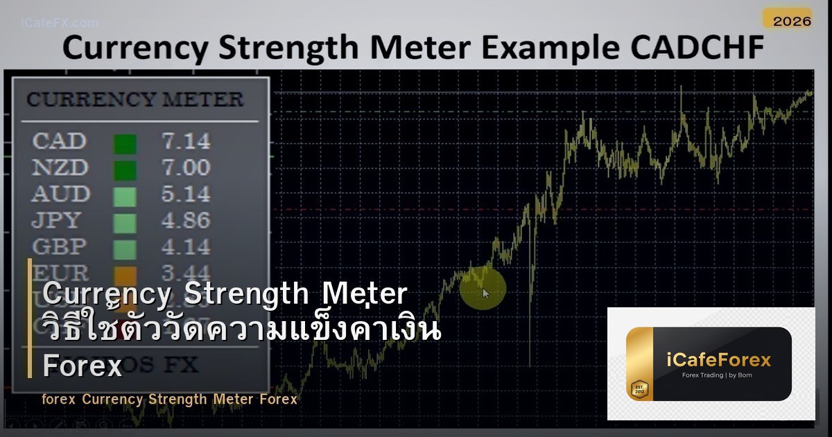 Currency Strength Meter วิธีใช้ตัววัดความแข็งค่าเงิน Forex